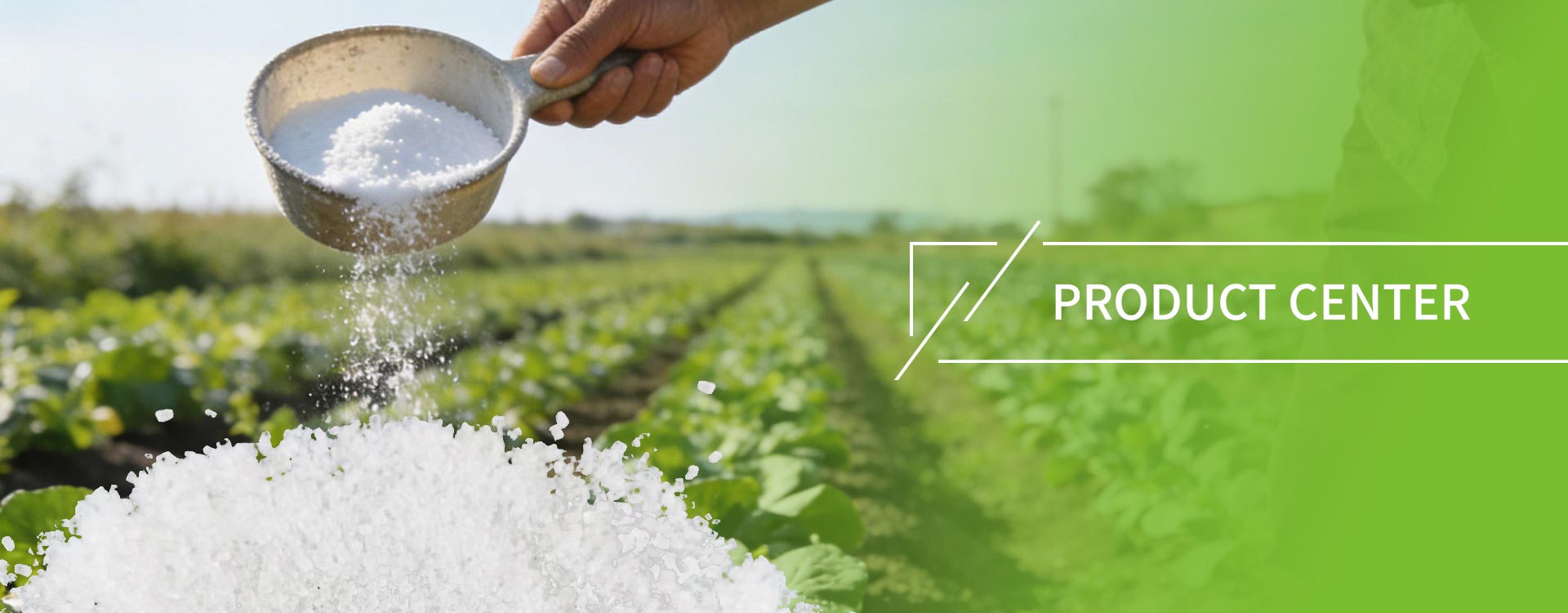 ఉత్పత్తులు